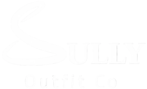 sully outfit